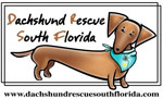 Dachshund Rescue South Florida Logo | German Car Depot
